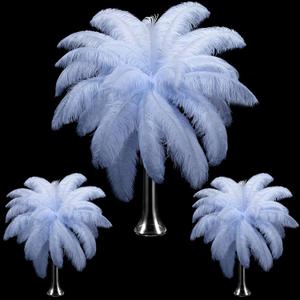 Maitys 90 Pcs Large Natural Ostrich Feathers Bulk 14-16 Inch (35-40cm) 12-14 Inch (30-35cm) 10-12 Inch (25-30cm) Ostrich Feathers Plumes for Centerpieces Wedding(Light Blue) Maitys 90 Pcs Large Natural Ostrich Feathers Bulk 14-16 Inch (35-40cm) 12-14 Inch (30-35cm) 10-12 Inch (25-30cm) Ostrich Feathers Plumes for Centerpieces Wedding(Light Blue)