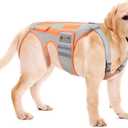Dog Back Brace for Arthritis, Dog Hip Brace for IVDD, Frame Support Harness for BackKeeps The Back Stable and Reduces Movements and Pains (XL)