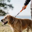 Strong Short Dog Leash Heavy Duty, Padded Handle for Traffic Control, Reflective Leash for Medium and Large Dogs Walking Training,Suitable for DIY (Orang)