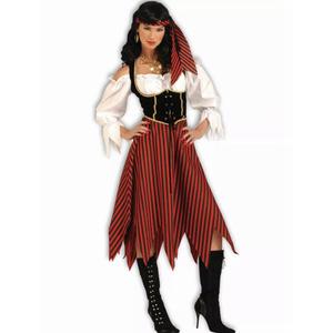 Women's Pirate Maiden Costume, Size 6-14