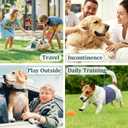 Reusable Dog Diapers Male, Premium Washable Belly Bands for Dogs Extra Small, Pack of 5, High Absorbing Dog Wraps for Doggie & Puppy in Incontinence or Excitable Urination and Training, Light Solid Color (XS)