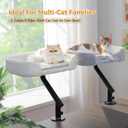 PAWZ Road Cat Desk Bed for Indoor Cats, Cat Bed for Desk Supports Up to 50 lbs, 360 Rotation & Adjustable, Nest Desktop Attachment Cats Hammock for Table, Gray