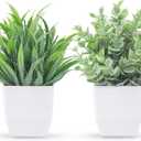 Der Rose 2 Pack Small Fake Plants Mini Artificial Potted Plants for Table Desk Home Laundry Room Bathroom Office Decor