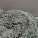 Bedsure GentleSoft Fuzzy Sherpa Faux Fur Twin Blanket Sage Green Cozy Gifts for Women Men, Soft Fleece Plush Warm Minky Thick Blanket Twin Size for Bed, Dorm Essentials Sage Room Decor Gifts, 60x80