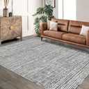 Area Rug 8'x10' Boho Textured Design Living Room Non Slip Low-Pile Soft Tribal Print Bedroom Rug Stain Resistant Playroom Carpet Office Grey