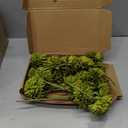 Kimura's Cabin 20pcs Green Artificial Flowers Silk Fake Chrysanthemums Flower Faux Mums Ball Flowers,Wedding Bouquets Home St Patricks Day Decor Floral Arrangement Table Centerpiece