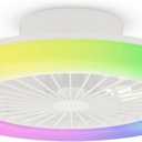 Modern LED Ceiling Light with Fan, RGB Ceiling Fan Lights, Ceiling Fan with lamp, 24 Ventilation speeds, infinitely dimmable Light for Living Room, Bedroom, Office, 3000-5500 K (White &19" & RGB)