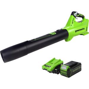 Greenworks Jet Blower Performance Turbo Button 40V Battery Quick Charger 2411902