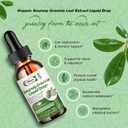 Soursop Graviola Liquid Drop, High Absorption Form Soursop Leaves & Fruit Complex, for Cell Regeneration & Immune Support & Digestive Bitters - Vegan Sour SOP Bitters Liquid - 2 Fl oz