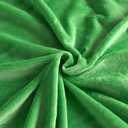Minky Fabric by The Yard for Pillows, Toys, Garments, Baby Products, and Blankets 60" Wide(Green,3Yard)