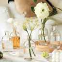 YOUEON 16 Pack Clear Glass Bud Vases, Small Bud Vases in Bulk, Glass Flower Vases for Centerpieces, Vintage Decorative Bottle Vases for Flowers, Home Decor, Wedding Reception, Office