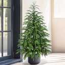 Artificial Norfolk Pine Tree, 4 ft Realistic Christmas Tree, Fake Potted Plants for Front Porch Outdoor Indoor Garden Christmas Decor (Green-2)