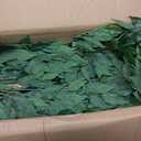 Warmplants Artificial Ficus Tree 7ft Tall Fake Plant with Basket