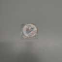 Seal-Abrating Ornament 2025  Cute Seal in Santa Hat with Gifts, Funny Animal Pun Holiday Ornament, Ceramic Keepsake Tree Decoration for Ocean Lovers, Kids Idea