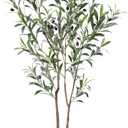 LOMANTO Artificial Olive Trees, 6 ft Tall Fake Olive Trees for Indoor, Faux Olive Silk Tree, Large Olive Plants with White Planter for Home Decor and Housewarming Gift, 1 Pack