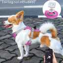 TagME No Pull Dog Harness with 2 Leash Clips,Lightweight & Visible for All-Day Walking,No Choke Pet Vest Includes AirTag Holder for Puppy,Fuchsia Pink