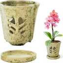 Orchid Pot 4 Inch, Ceramic Orchid Pots with Hole for Repotting, Beatiful Ice Cracked Glaze Ceramic Flower Plant Pot with Saucer, Breathe Easy and Healthy for Orchid Plants. (S1 Mossy Green)