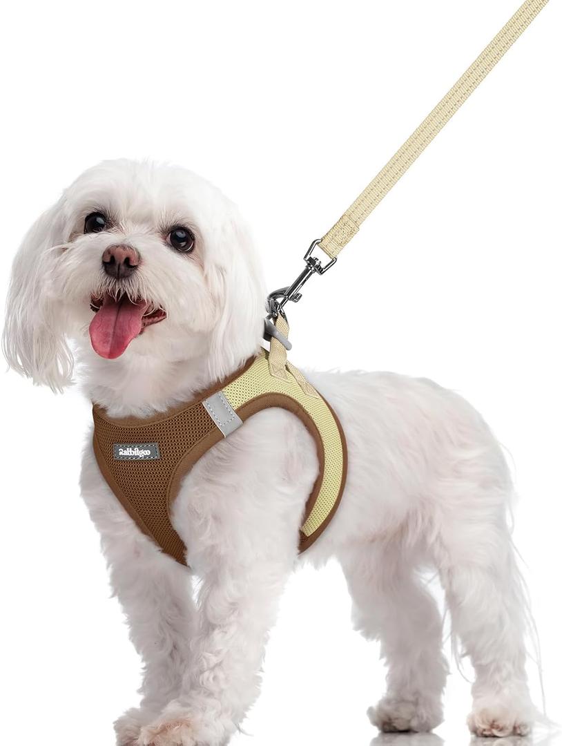 Rabbitgoo Dog Harness Small Sized and Leash Set, Step in Soft Light Puppy Vest, Breathable Mesh Pet Harness, Reflective for Safe Easy Walking, Brown & Beige, M