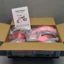 Colorful Lighting Baby Balance Bike Toys for 1 Year Old Girl Gifts, 10-36 Month Toddler Balance Bike, No Pedal 4 Silence Wheels & Soft Seat First Bike, One Year Old Girl Birthday Gifts (Pink)