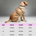 LaRoo Light Up Dog Harness - LED Dog Harness Rechargeable for Night Walking, Three Lighting Modes,Adjustable Areflective Vest for Small to Large Dogs(L, Pink)