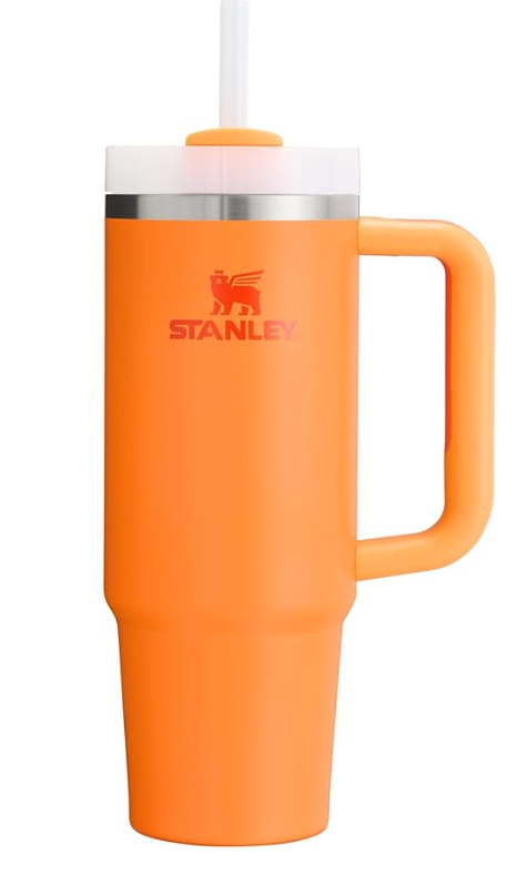 STANLEY Quencher H2.0 FlowState Stainless Steel (14 Ounces, Alpine)