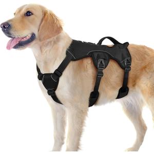 rabbitgoo Escape Proof Dog Harness, Soft Padded Full Body Pet Harness, Reflective Adjustable No Pull Vest with Lift Handle and Leash Clip for Large Dogs Walking Hiking Training, L, Black (Large (Pack of 1))