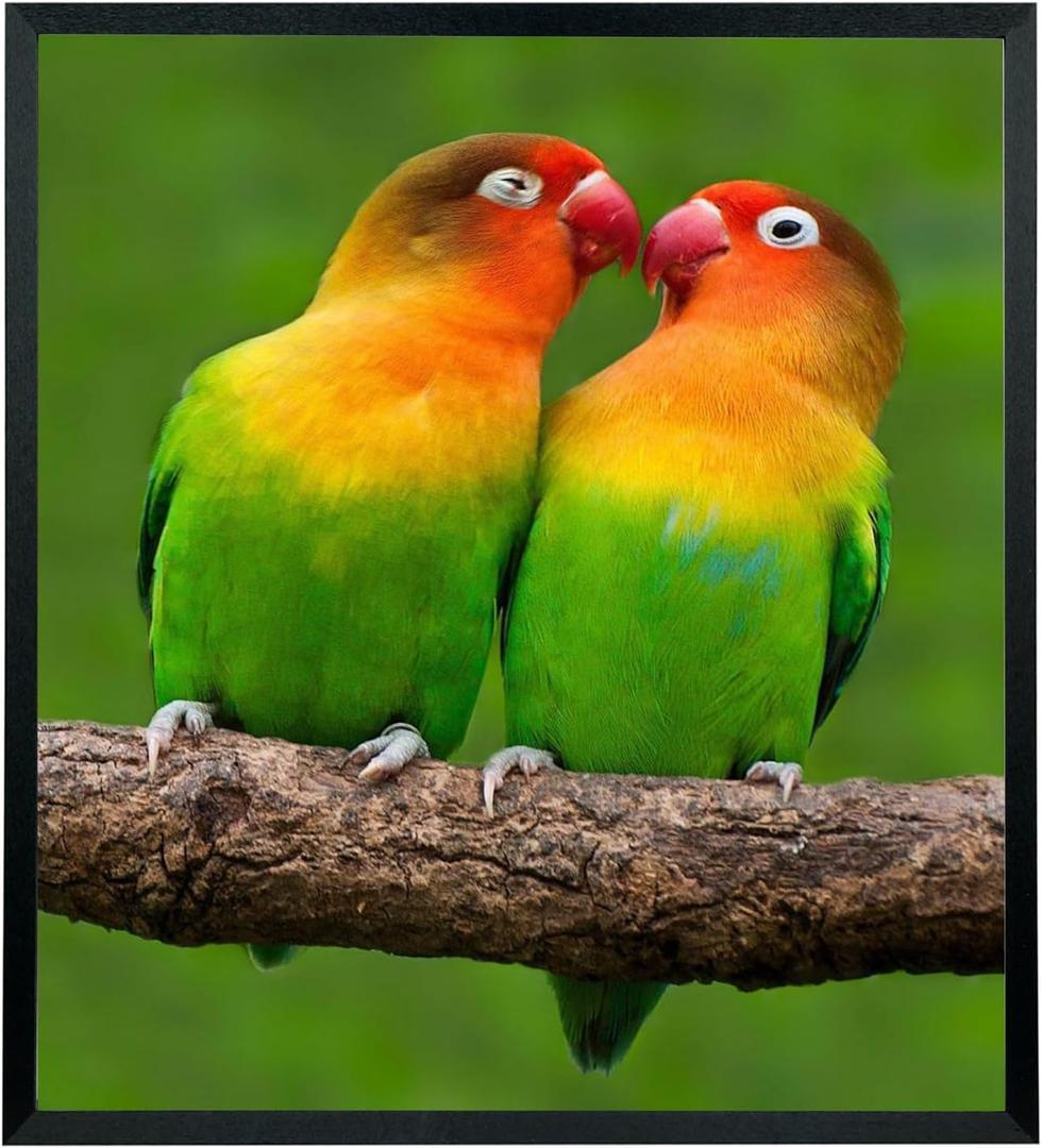 Mxtallup 21x24 Picture Frames Solid Wood Poster Frame for Wall 21x24 Photo Frames Family Black (T22B2124)