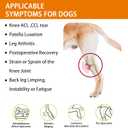 Dog Knee Brace for Torn ACL, CCL Hind/Back Leg Support with Harness & Anti-Slip Straps Adjustable Fit, Soft & Breathable, Post Surgery & Injury Recovery Hand Washable, M