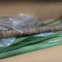 Artificial Tree 6ft Faux Agave Plant with 3 Heads in Pot Fake Tree for Home Decor Indoor or Outdoor Office Decoration,Farmhouse,Store Floor Decor Housewarming Gift(1 Pack)