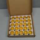 25 Pack G40 LED Replacement Bulbs,120V 0.5W,E12 Base,for Outdoor String Lights-Amber