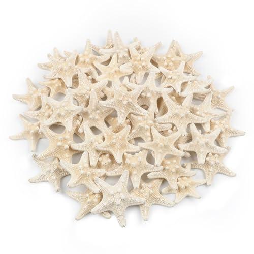 TaoQ C 48 PCS Starfish, Mini Starfish 1" to 2" Small Knobby Starfish Natural Seashells Starfish Perfect for Wedding Decor Beach Theme Party, Home Decorations, DIY Crafts, Fish Tank