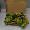 Kimura's Cabin 20pcs Green Artificial Flowers Silk Fake Chrysanthemums Flower Faux Mums Ball Flowers,Wedding Bouquets Home St Patricks Day Decor Floral Arrangement Table Centerpiece