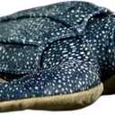FRANKIEZHOU Realistic Leatherback Turtle Plush-12, Lifelike Seaturtle Stuffed Animal, Soft Turtle Plush Toy, Stuffed Toy, Turtle Gifts, Gifts for Kids, Baby Gift, Cute Plush, Home Decor
