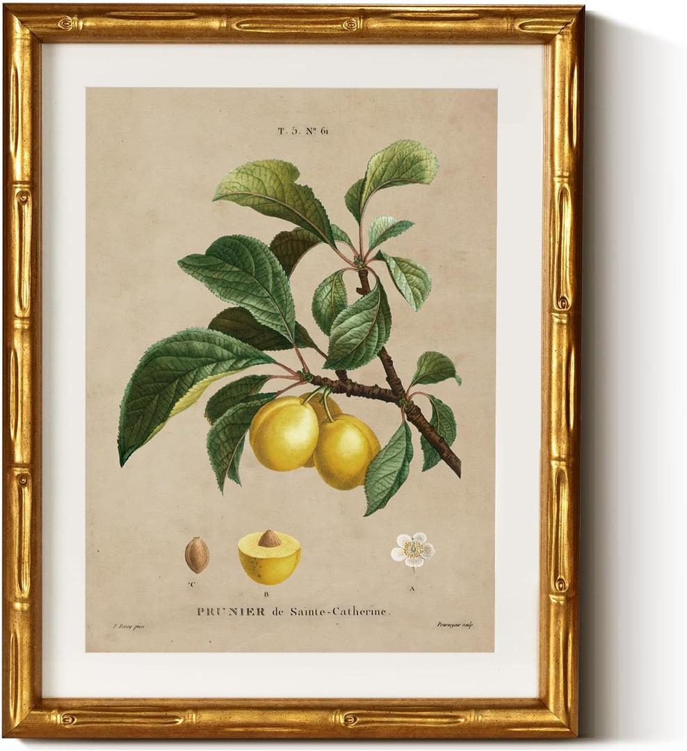 InSimSea Gold Bamboo Framed Canvas Wall Art, Retro Nature Plum Botanical Paintings, Antique Vintage Picture Frame with Mat, Victorian Home Wall Decor for Living Room Kitchen Dining, 11x14inch