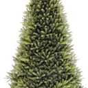 National Tree Company 9 ft Unlit Dunhill Fir Full Artificial Christmas Tree, 4,026 Tips, Includes Stand, Green