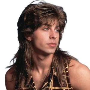 Mullet Wigs for Men,Joe Dirt,Emo Wig 80s 90s Costumes Fancy Party Accessory Cosplay Wig Halloween Man x (Brown)