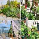 Garden Trellis, Support Plant Stand for Climbing Plants Outdoor and Indoor Trellis, Potted Plants Flowers Vegetables and Vines, Tomato Cage Tower - 1 Pack
