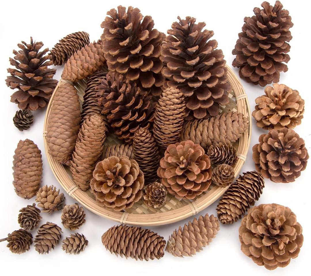 JOHOUSE 50PCS Large Natural Pinecone Ornaments, Pine Cones for Crafts, Pinecone Ornaments for Christmas Tree, Wreath Making, Winter Christmas Bowl Fillers, Winter Vase Filler