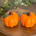 Pumpkin Salf And Pepper Shakers