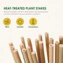 Cambaverd Bamboo Sticks for Plants 2 Feet Bamboo Stakes for Indoor Gardening Plant Stakes Supports Potted Plants Mini Trees Garden Stakes - Pack of 30 Bamboo Poles