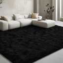 EVOIONOS 9x12 Washable Large Area Rug for Living Room, Fluffy Shag Rug for Bedroom, Ultra Soft Plush Non Slip Carpet for Indoor Floor Bedside Nursery Kids Girls Room Dorm, Home Decor Aesthetic, Black
