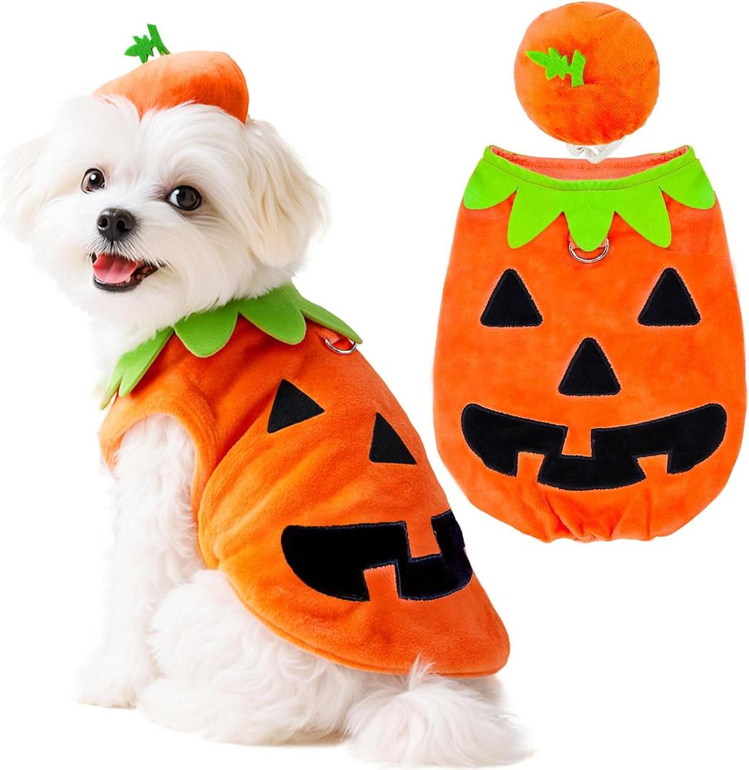 Funny Dog Pumpkin Costume Small Dog Cat Halloween Costumes Boy Girl Cute Halloween Dogs Shirt with Leash Ring Pumpkin Hat Puppy Cosplay Outfits Pet Party Clothes Apparel Yorkie Chihuahua(L) (Orange)