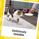 Temptations Creamy Puree Variety Pack of Squeezable Cat Treats, 0.42 oz. Tubes, 24 Count (EXP 05/06/27)