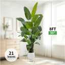 7.5FT Artificial Bird of Paradise Plant Tall,91”Fake Tropical Tree with 21 Banana Leaves and White Pot,Large Faux Silk Plants Indoor for Home Living Room Bedroom Hotel Office Decor