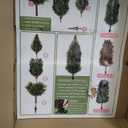 Sunnyglade 2 Packs 27.5" Artificial Rose Tree, Fake Rose Shrub Bushes Trees with Spike Faux Topiary Plants Tree for Indoor, Garden, Yard, Porch, Patio Decor (Red)