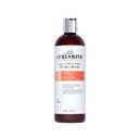 CURLSMITH Curl Conditioning Oil-in-Cream - Leave-In for Thick Curly Hair, Deep Moisture Curl Conditioner, For All Types, Vegan & Cruelty Free (16 Fl Oz (Pack of 1))