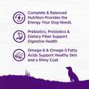 Wellness Complete Health Adult Dry Dog Food, Wholesome Grain Kibble, Natural, Beef and Barley Recipe, 26 lb Bag (EXP 08/06/27)