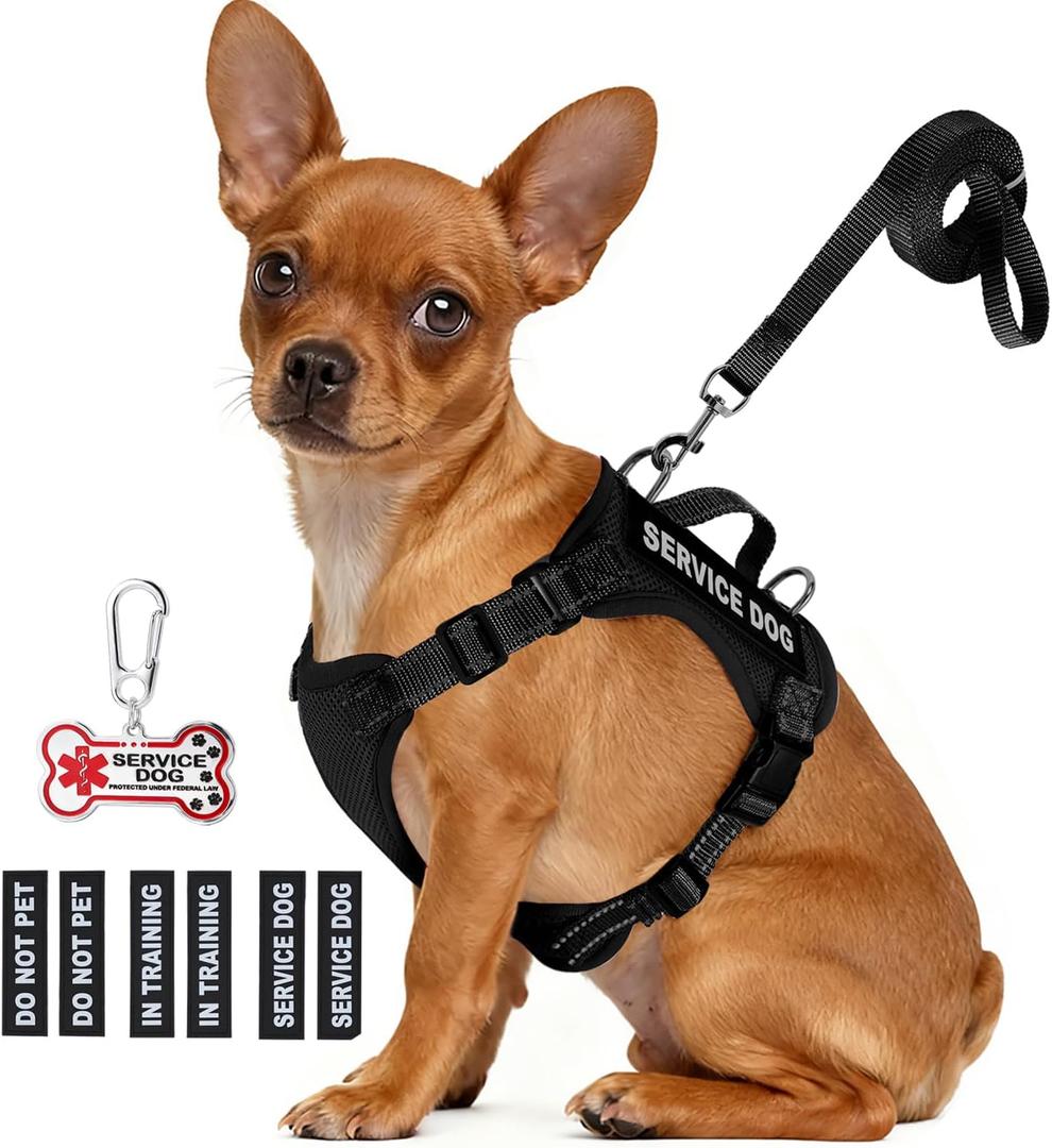 Service Dog Vest for Small Breed Dogs with ID Tag  Lightweight Puppy Harness and Leash Set with 6 PCS Patches, Ideal Service Animal Vest for Training, Complete Service Dog Gear, Black, S