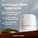 Febreze Plug Scent Booster Starter Kit Air Freshener, Oil Diffuser, Continuous Scent Device, Includes 2 Gain Refills