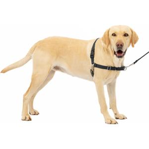 PetSafe Easy Walk Black No Pull Dog Harness, Large